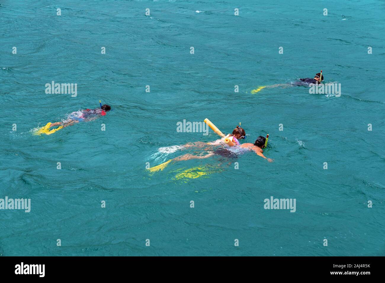 Yeppoon, Queensland, Australia - December 2019: Mother, daughter and sons snorkeling in the waters over a shallow coral reef near Great Keppel Island Stock Photo