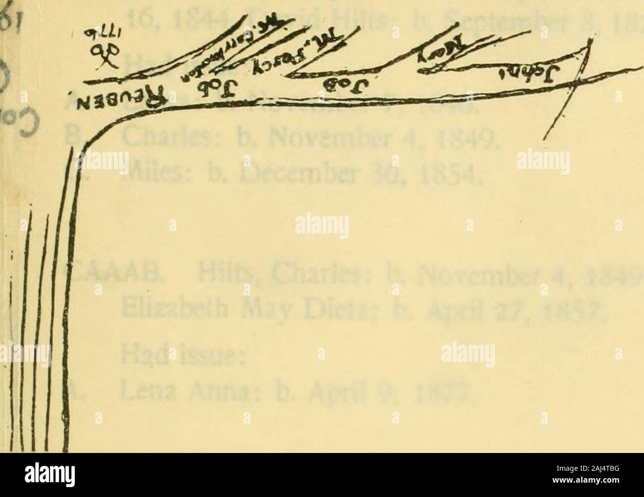 Bookidrecordofbirt High Resolution Stock Photography and Images Alamy