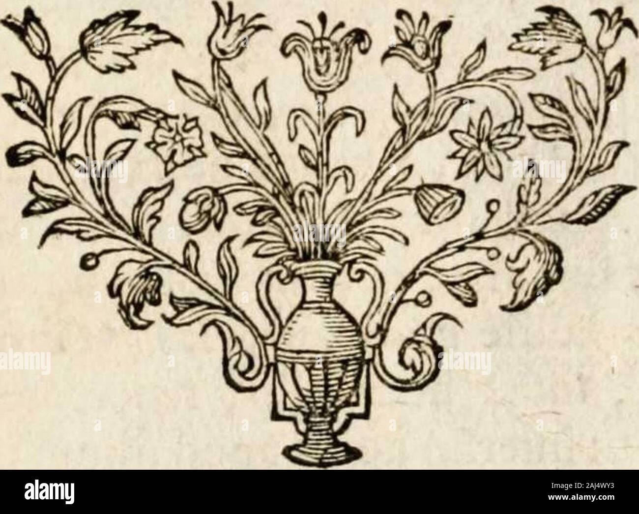 Page 416 Vt High Resolution Stock Photography And Images Alamy Page 416 Vt High Resolution Stock Photography And Images Alamy