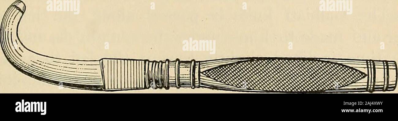 A manual of obstetrics . radical ope-ration of craniotomy and thereby save the fetal life. Otherindications are persistent mentoposterior positions when thechild is living, occasionally in occipitoposterior positionsand in the presence of small pelvic tumors. Methods ofOperating.—There are two well-recognized methods of per-forming symphysiotomy, known respectively as the Italian,or subcutaneous, and the German, or open, methods. Thelatter consists in making an incision directly over the sym-physis pubis and continuing it down through the line ofcartilaginous union. There are two well-founded Stock Photo