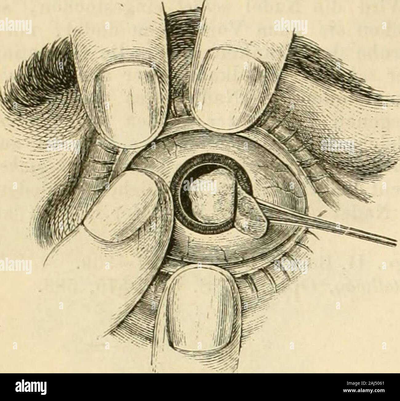 Meridiane meridiane hires stock photography and images Alamy