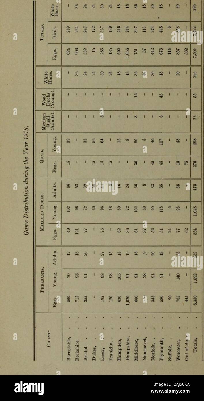 Fifty-Third Annual Report of the Commissioners of Fisheries and Game for the Year Ending November 30, 1918 . 80 32,000 Out of State, . 275,000 Totals, 275,000 501.300 11,557 44,000 725,000 13,050 66,850 208,000 1 10,500 1918.] PUBLIC DOCUMEXT —Xo. 25. 221 during the Year WIS. ion rlings). a c &gt;lts (Adults). Salt-waterSmelts. rling^ Totals. 1 ingc M obOC &gt;&gt; li s Landlocked ( Chinook Sa ( s s 8 a a &gt;. Horned Poi o & i ? 1,000 3,150,000 15,575,000 450,000 3,150,000 16,100.790 16.800   22,600 1,000 - 4,350.0002,550,000 7,350,0007,000,000 4,000 1,200.000200.000 4,350,0002,550,000 1.852, Stock Photo