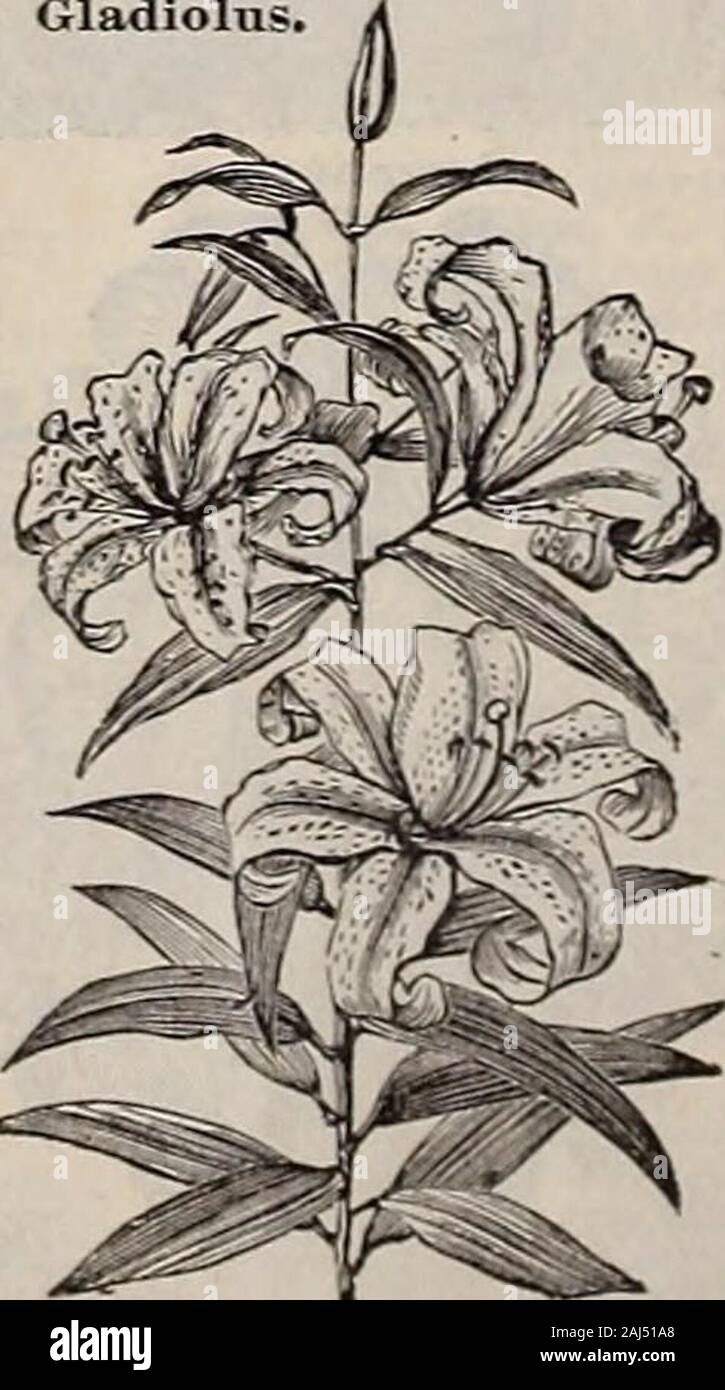 maroon 5 uzun albüm kapağından önce olmayacak