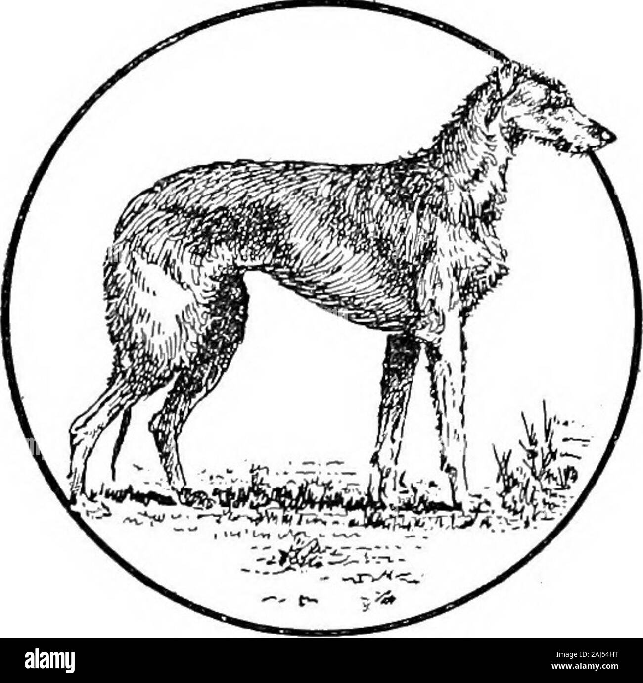 pointers and setters