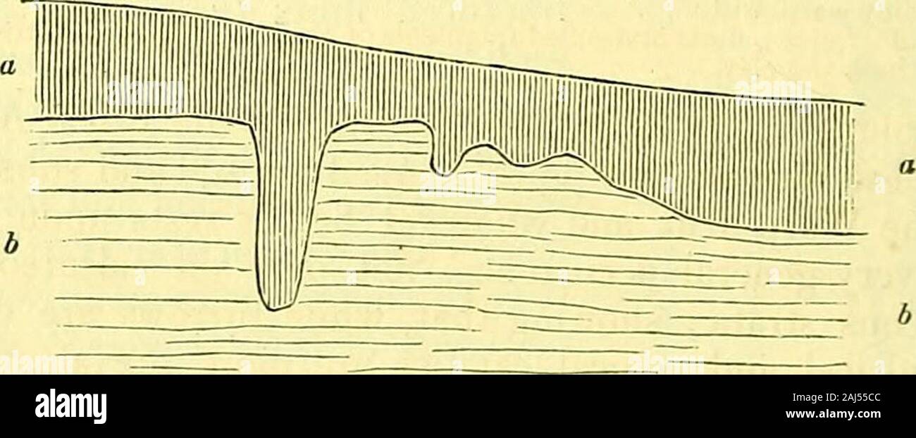 The Quarterly journal of the Geological Society of London . a. Warp-drift; sandy loam. 6. Sand of the Crag. Fig. 4.—Section of Pipes filled with Boulder-clay, near Desborough,Northamptonshire (on the Harborough side of the village).. a. Boulder.clay : brown clay with chalk-flints, and rolled pebbles and scratched fragments of hard chalk. b. Whitish sand. i T /-&gt; v. c. Ferruginous sandstone. } Lower Oolite. Fig. 5.—Section of Pipes in the Boulder-clay, at Hardingham,Norfolk. Stock Photo