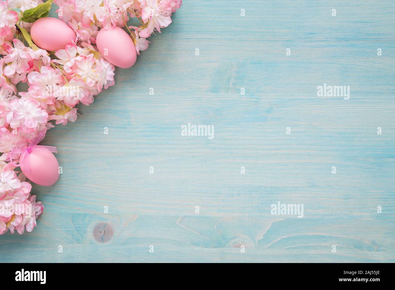 Spring Easter background of painted blue board with branch of flowering cherry covered with pink flowers and pink eggs as a border Stock Photo