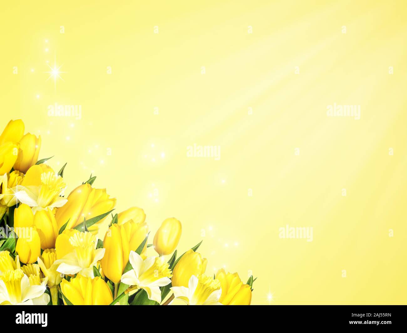 Beautiful spring bouquet of yellow tulips and daffodils, arranged as a ...