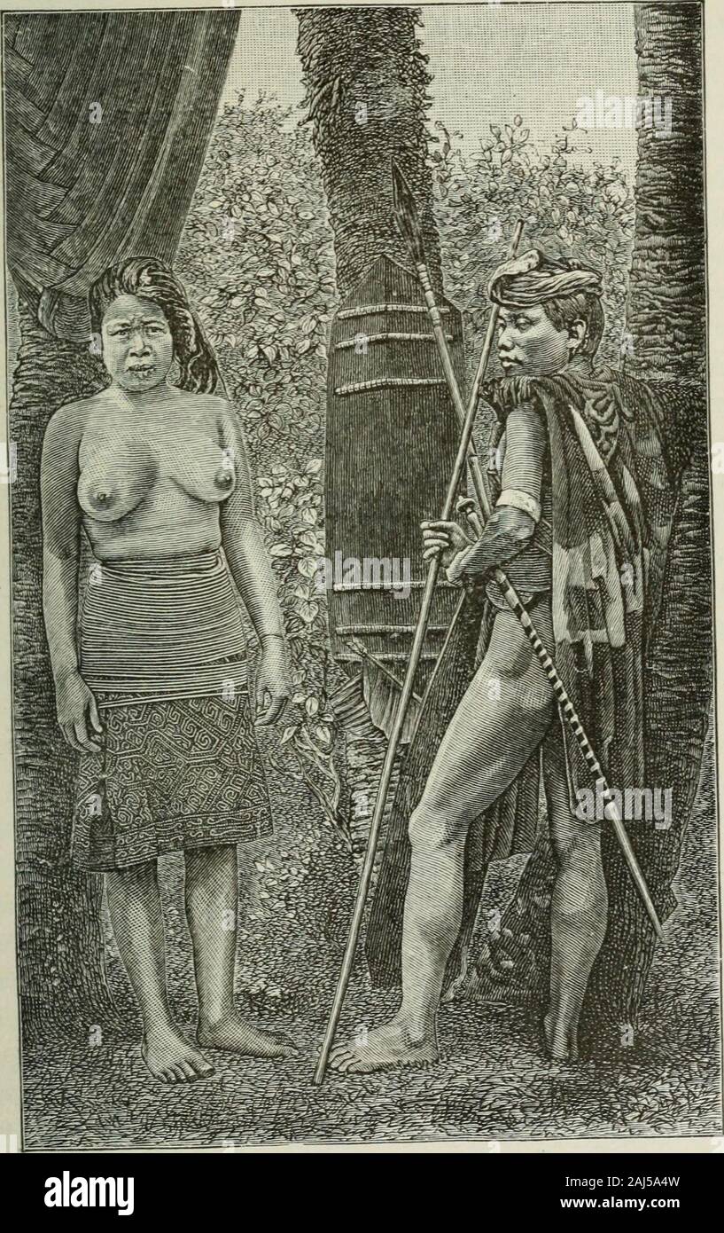 Anthropology; an introduction to the study of man and civilization . pure Malays, as is seen by their more curly hair, oftenprominent and even aquiline noses. It seems likely that anAsiatic race closely allied to Malays may have spread overthe South Sea Islands, altering their special type bycrossing with the dark Melanesians, so that now thepopulations of difierent island groups often vary muchin appearance. This race of sailors even found theirway to Madagascar, where their descendants have more orless blended with a population from the continent of Africa.Turning now to the double continent Stock Photo