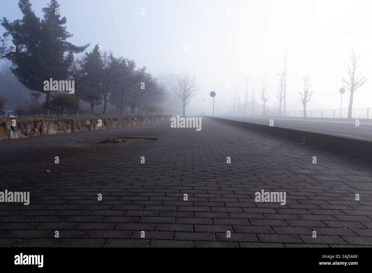 Fog in the morning Stock Photo - Alamy