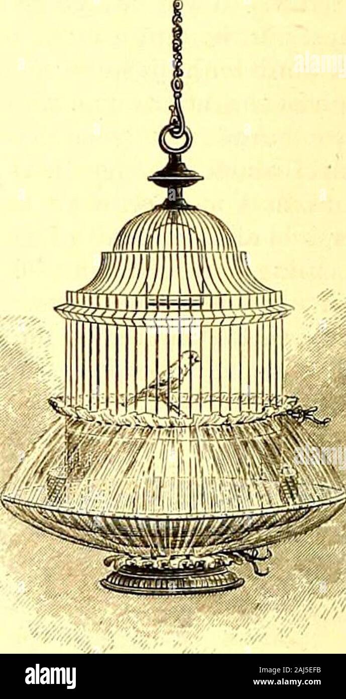 St Nicholas Serial F Mostbirds Light Chocolate Is Good Also In These Ger Man Cages The Color Is Burnt Into The Wires Andnot Painted On Where Pet Can Peck It Off