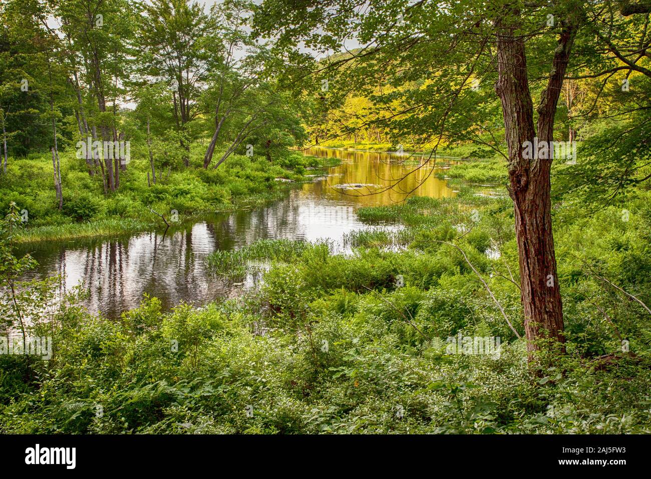 The Tully River, Royalston, Massachusetts Stock Photo Alamy