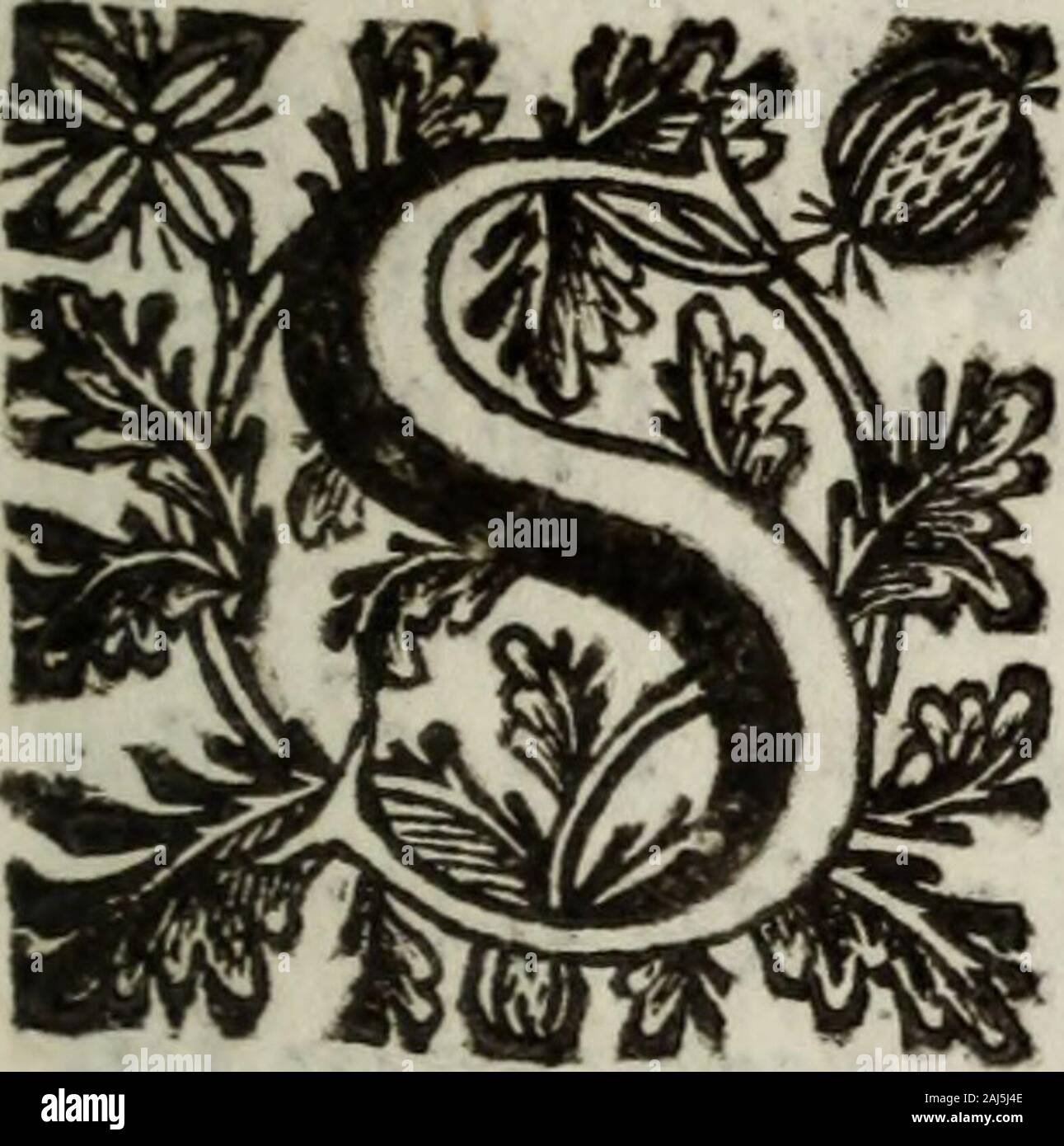 Sommario delle vite ed azioni degli arcivescovi di Milano da S Barnaba sino al governo presente . non eflfer (ottopode amorfì de momi. Spero, che la benignità impareg-giabile dèlie SS. loro Illuftriffime , mi farà forte anti-muro a quefte comuni difgrazie de zelanti Scrittori.L opere fatte chiare da lumi di Cielo non hannobifognodi rettorici ingrandimenti, darte di fublime elocuzio-ne. Le gemmedi più alto prezzo fi fanno (limar ancornude, prima eh entrino negattoni doro di ventiquat-tro caratti : Così mi perfuado, eh avrò tanti Padroni,quant Anime grandi clementi(Iime,ed amorofe arric-chirono Stock Photo