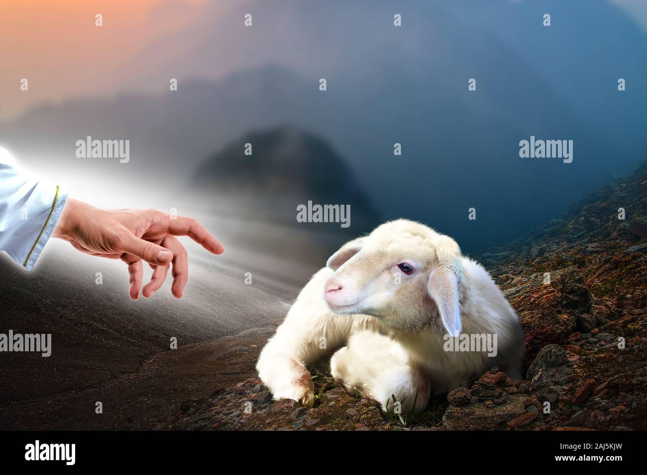 Jesus hand reaching out to a lost sheep. Biblical theme concept. Stock Photo