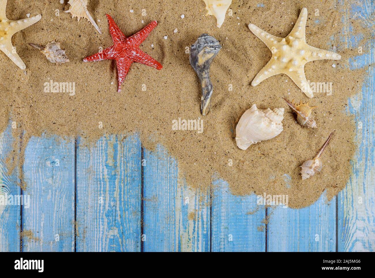 Many different star fish and shells on the sand beach on a blue wooden background Stock Photo