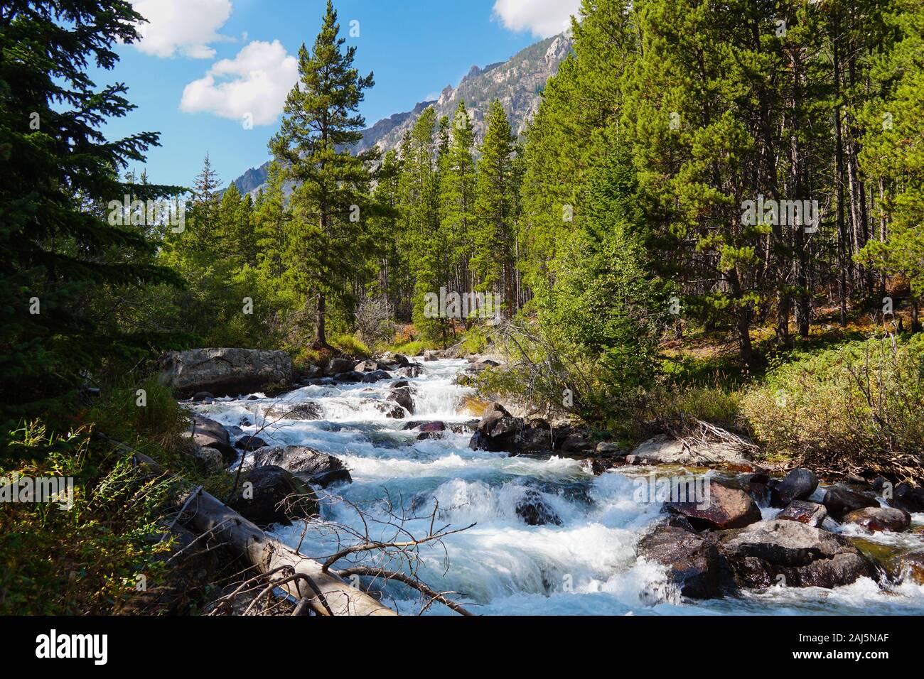 A mountain river turns into a waterfall as it moves quickly down a section of rocks between the