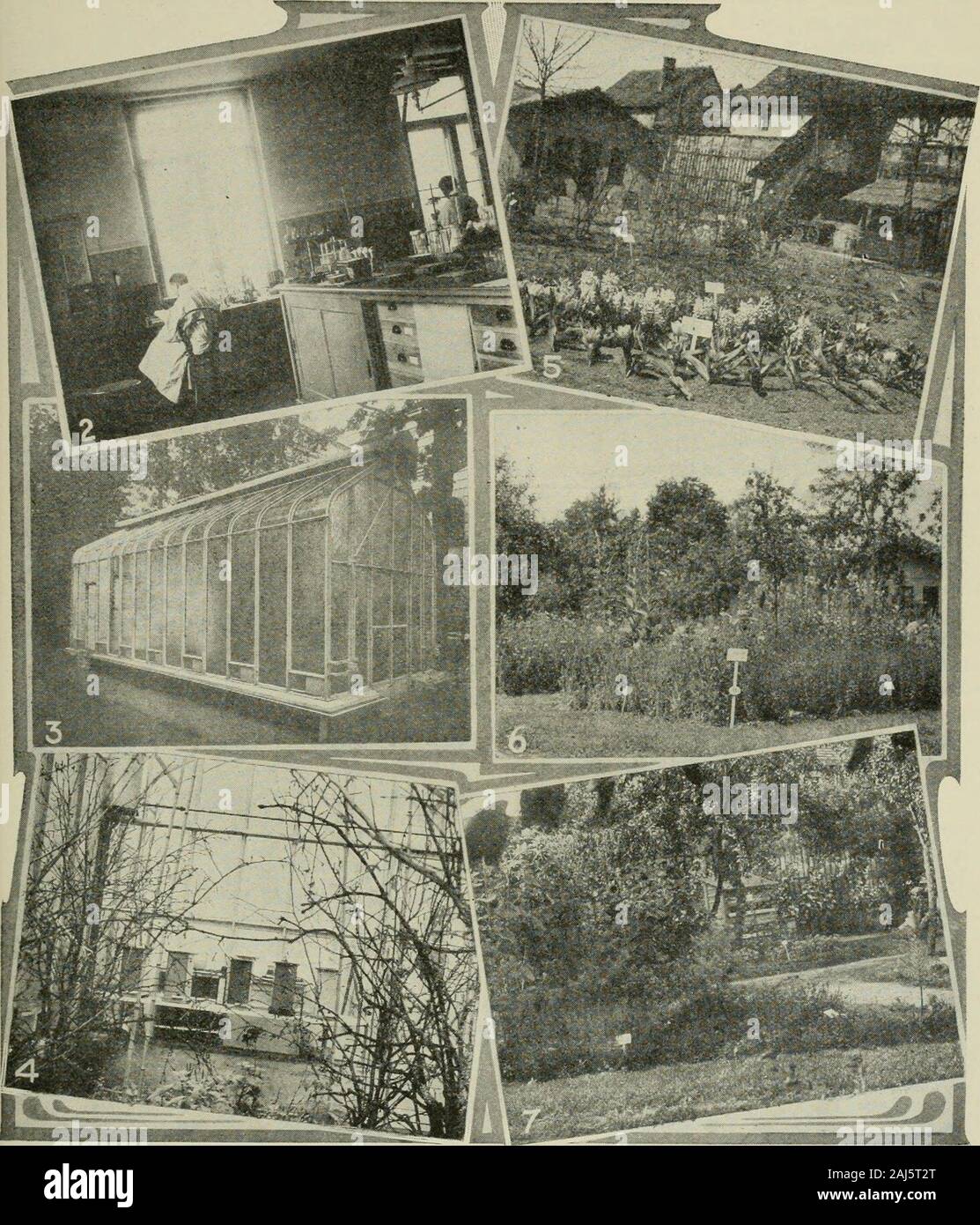 Gleanings in bee culture . st and bestinstruments and ajDiDaratus for carrying outzoological and bacteriological studies. Aninteresting and very necessary implementis the glass house. Figs. 3 and 4, ready foruse in the garden of the zoological institute.This glazed bee-house supplies the bee-material required during winter time, andis divided into a small working room anda large partition where the bees can taketheir flight. Fig. 4 gives a view of theinside of the bee partition. A few nucleiin single-comb observatory hives are kepthere over winter. Branches of hazel, alder,cherry, and similar Stock Photo