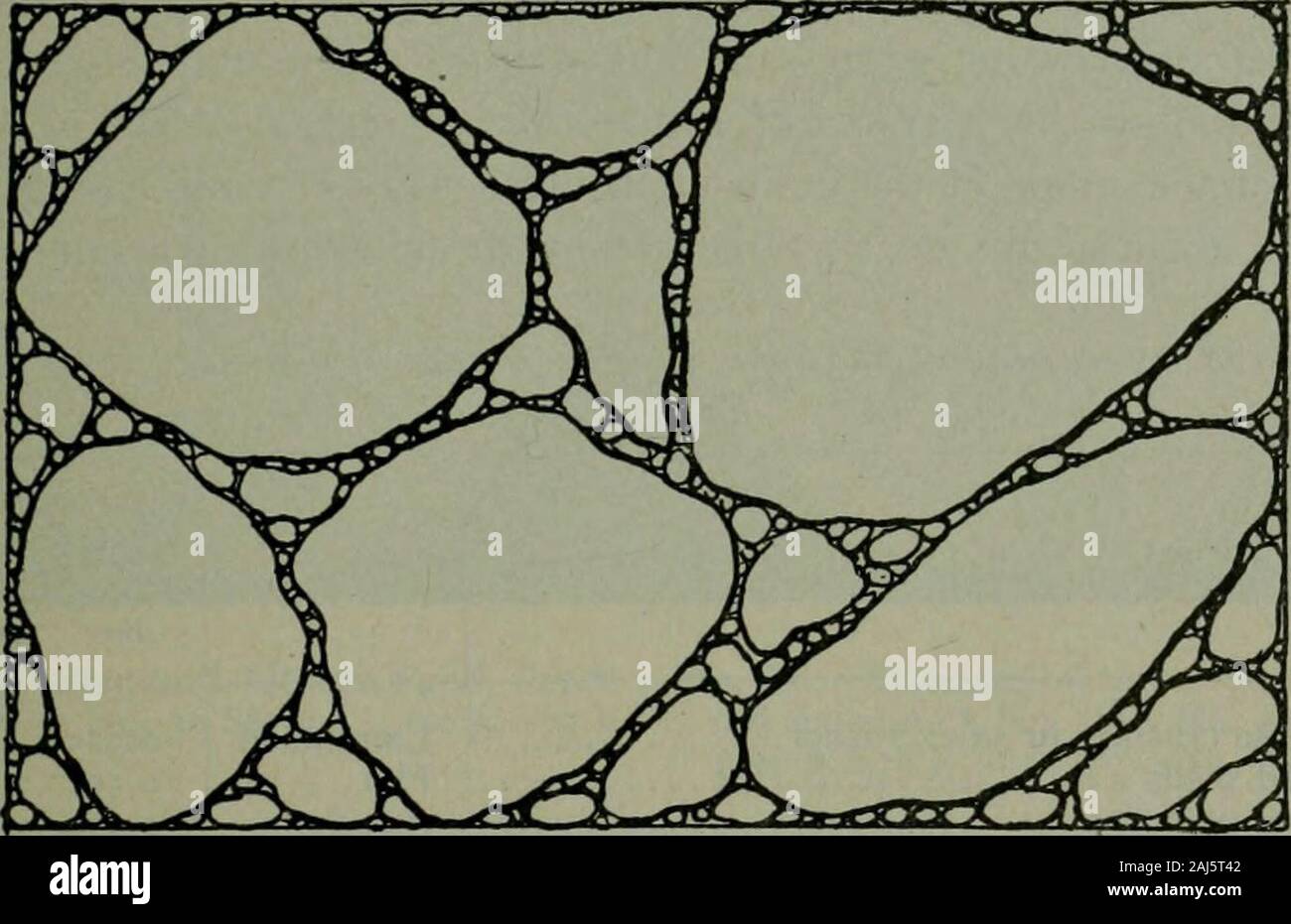 A treatise on concrete, plain and reinforced : materials 