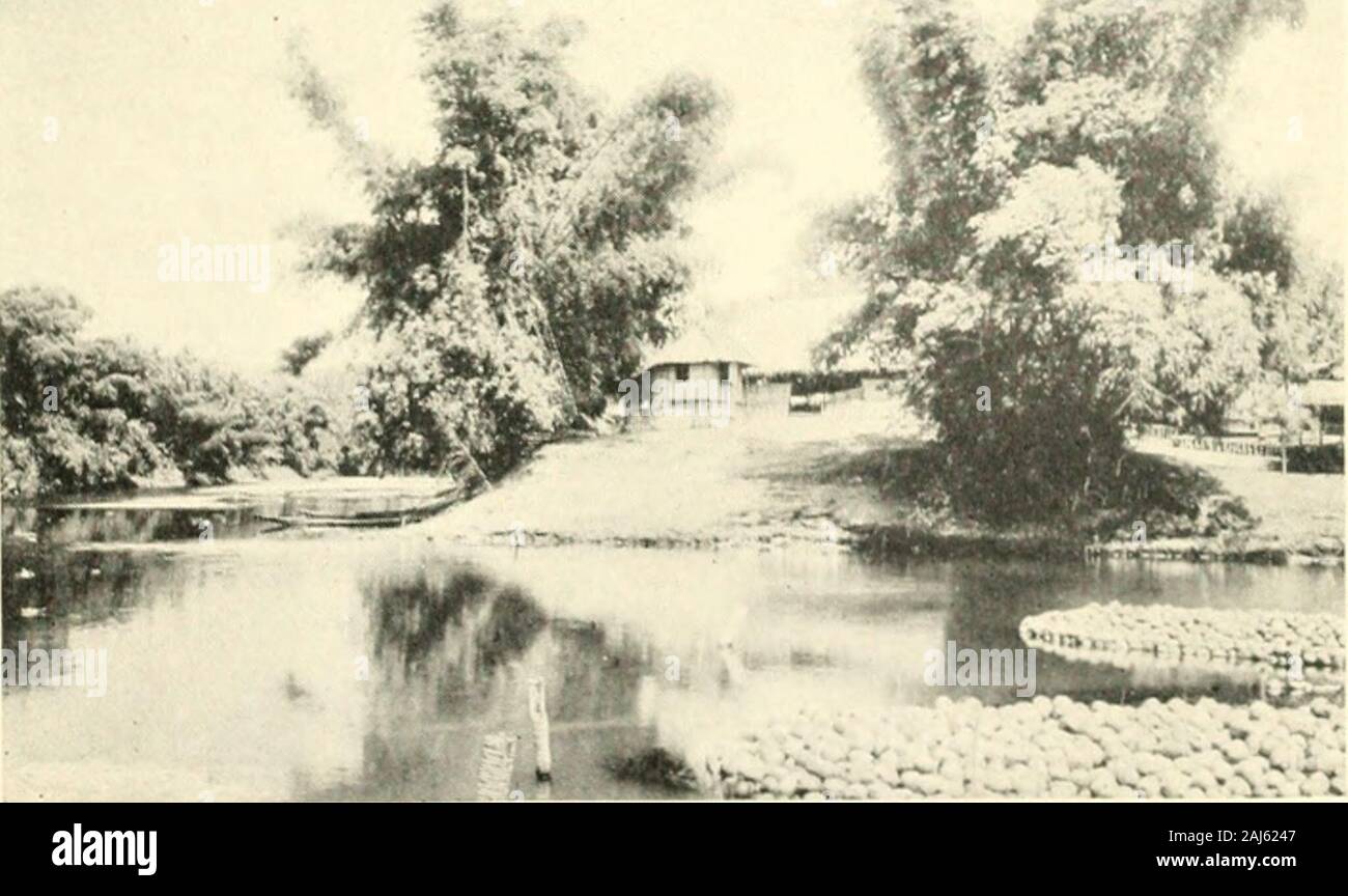 The Odyssey of the Philippine Commission . A Tropical River. A River Scene, Pagsanjan, I.agiina IX PROVINCIAL ORGANIZATION Manila, February ig, igoi.^T^ HE Commission has made a beginning in its-^ work, of provincial organization. We returnedyesterday from a pilgrimage of seven days to thenorth of Manila, during which civil government wasextended to the provinces of Pampanga, Pangasinan,and Tarlac. It was a week of vivid incident, and Ifour experiences during these days are a measure ofwhat awaits us in the thirty and odd provinces yetto be organized, then fate has reserved for us aseries of s Stock Photo