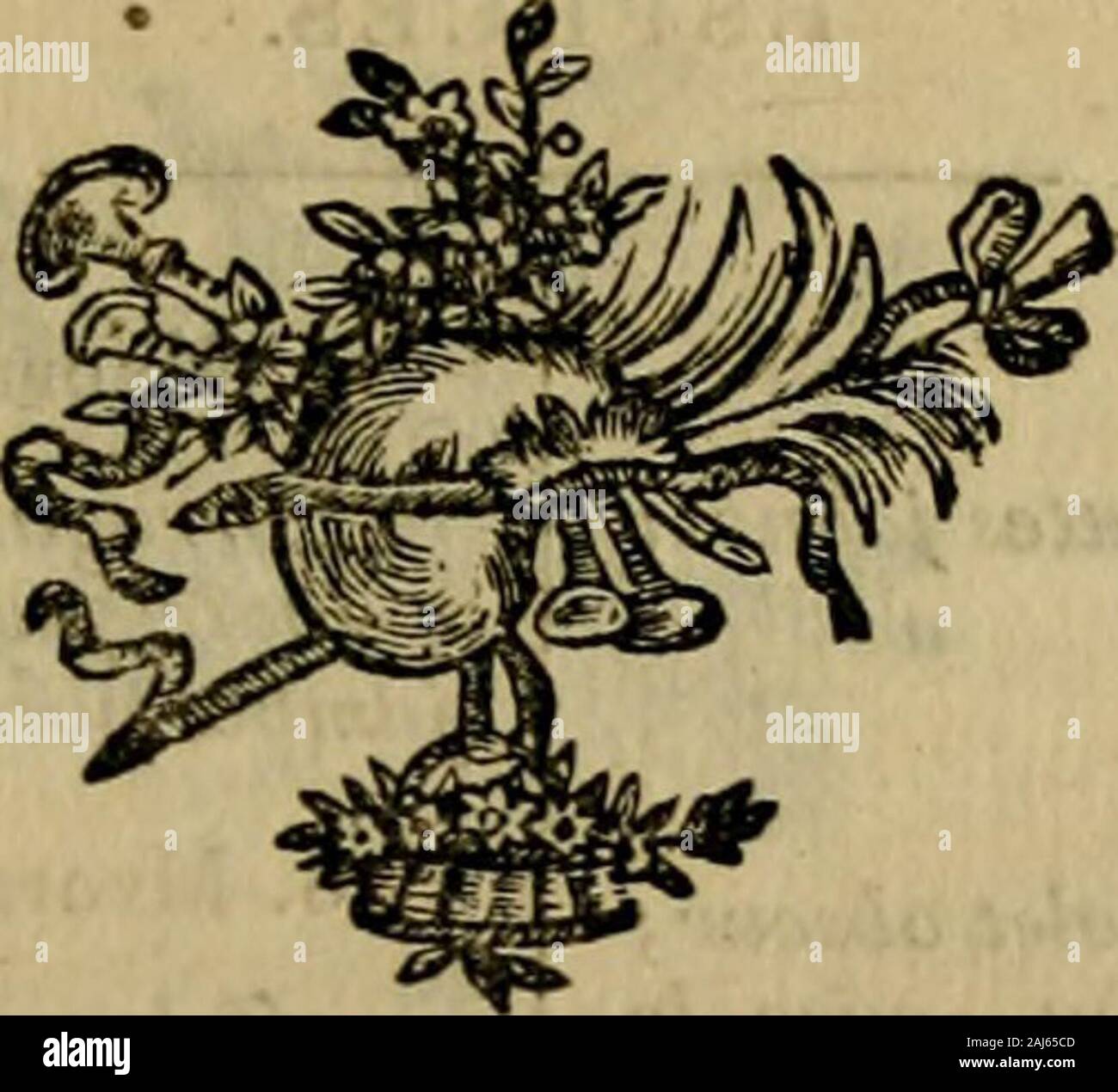 Velues High Resolution Stock Photography and Images - Alamy