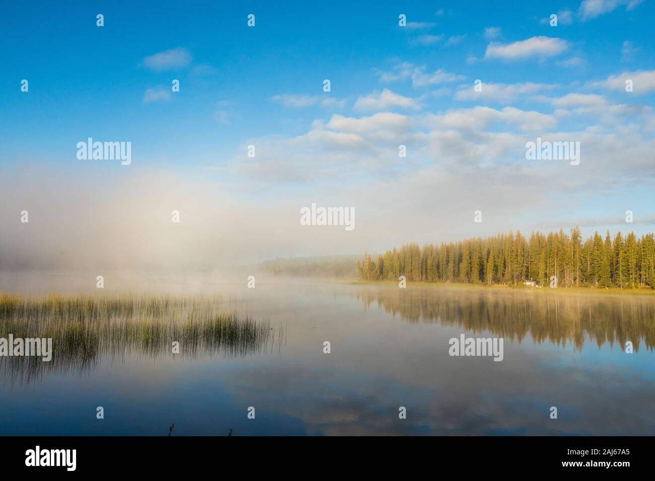 Morning sunlight burns off cloud over Lac Le Jeune Lake, Canada Stock