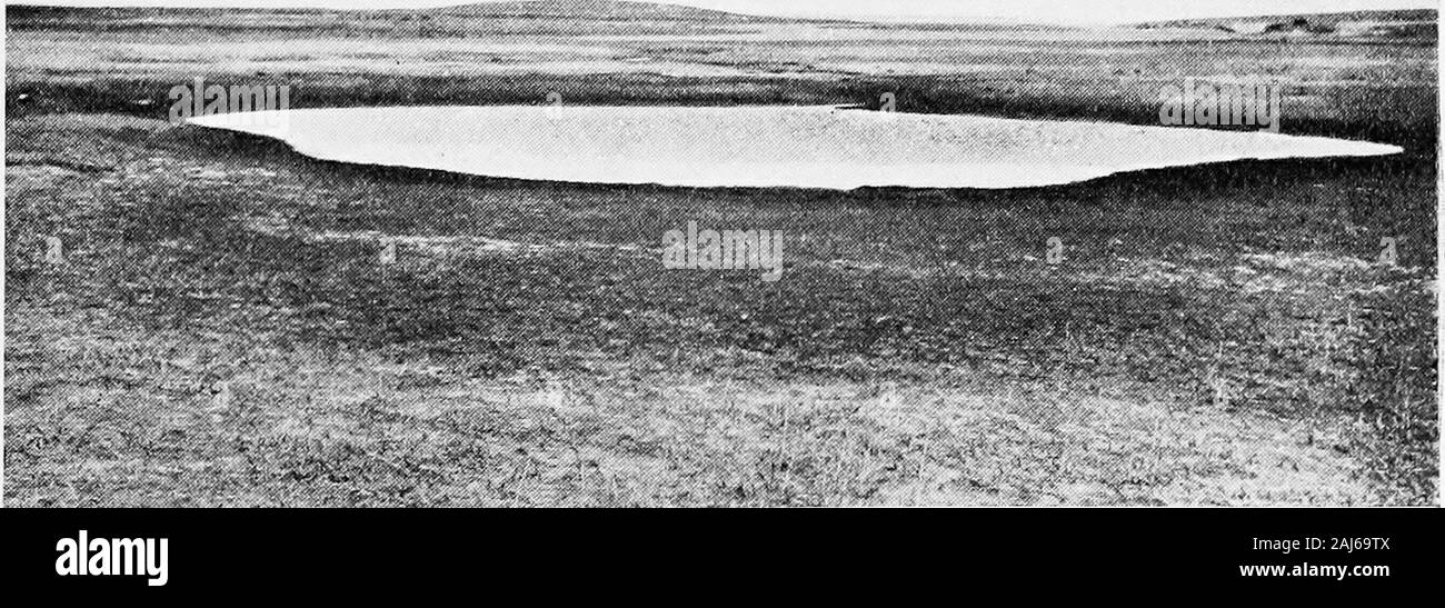 Report of the Canadian Arctic Expedition 1913-18 . Fig 1—Tundra pond with Carex and Eriophorum, at Bernard harbour, Dolphin and Union strait, Northwest Territories August 4, 1915.. Fig 2—Brackish pond at outlet of creek at Bernard harbour. July 15, 1915. Crustacean Life N 23 Plate III. Stock Photo