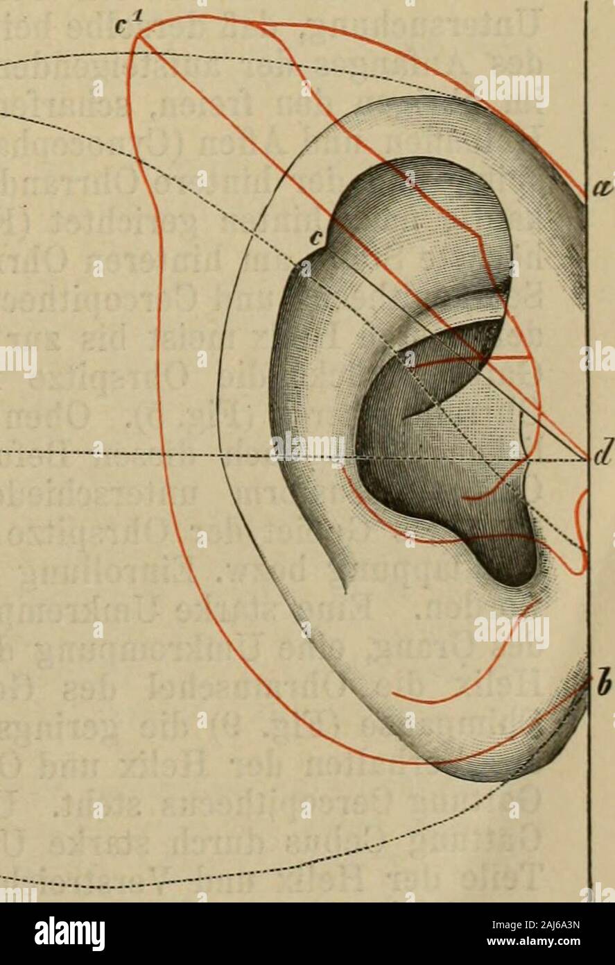 Booksubjectskeleton High Resolution Stock Photography And Images Alamy