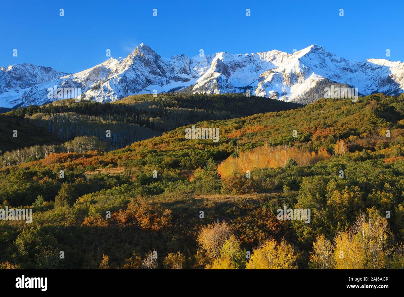 Autumn color in the Colorado Rocky Mountains along the Dallas Divide with snow and changing aspen leaves Stock Photo