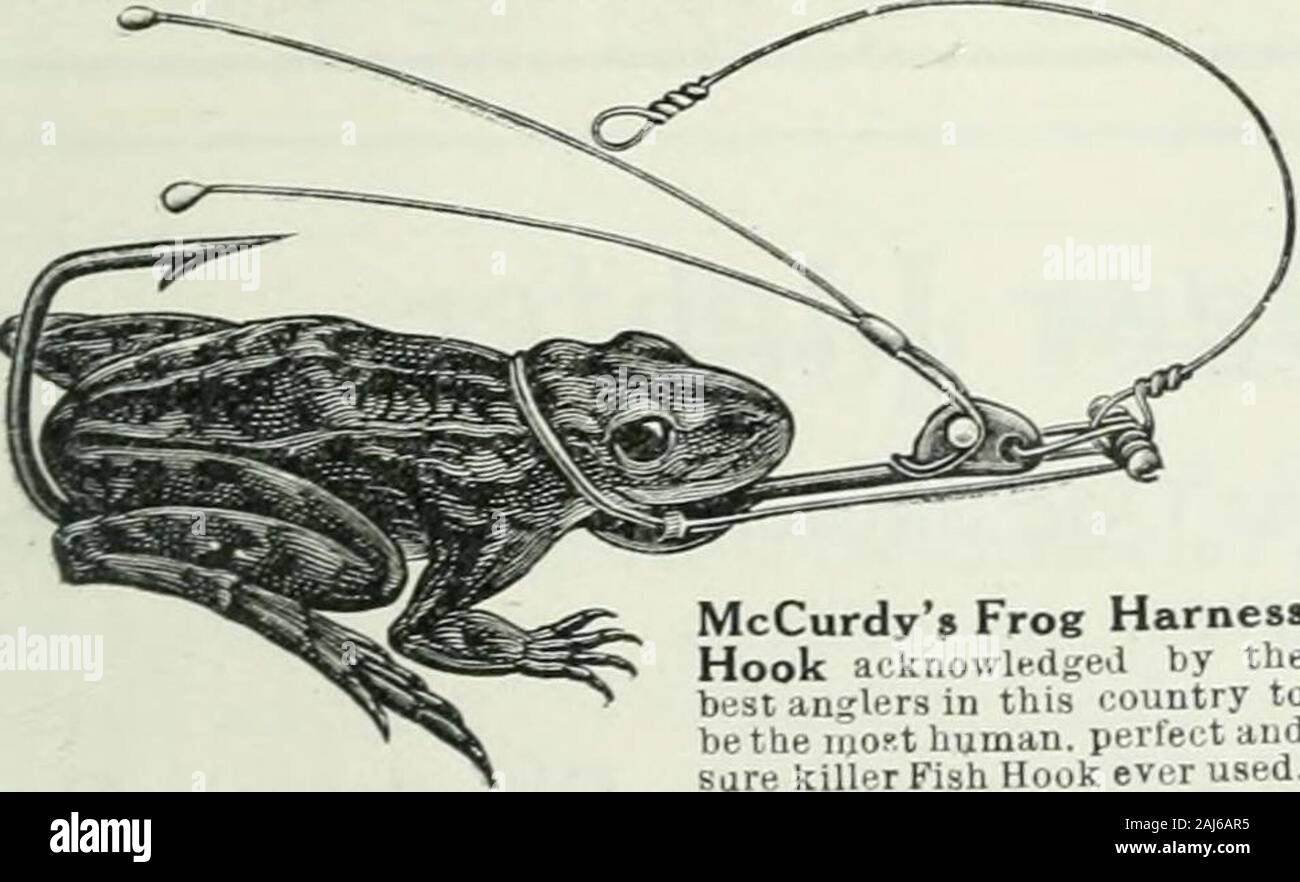 Rod and gun . Our Preserved Frogs,Shiners, Minnows, etc.are life-like. Ask  your dealer forthose packed by the ANGLERSBAIT & MFG. CO., 273-275 South  Water St.,CHICAGO. To be obtained in Canada fromWarren 