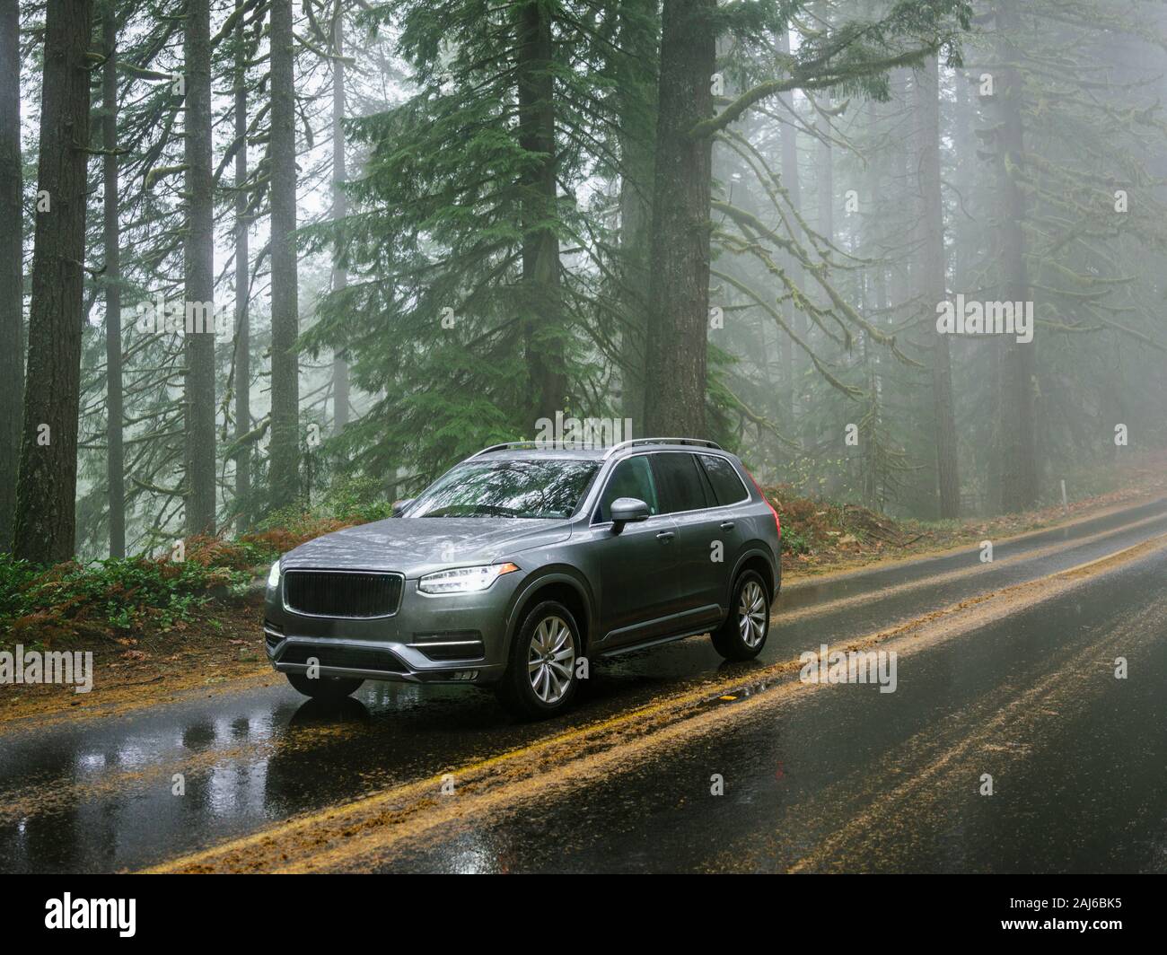 SUV automobile driving through foggy and rainy forest road Stock Photo ...