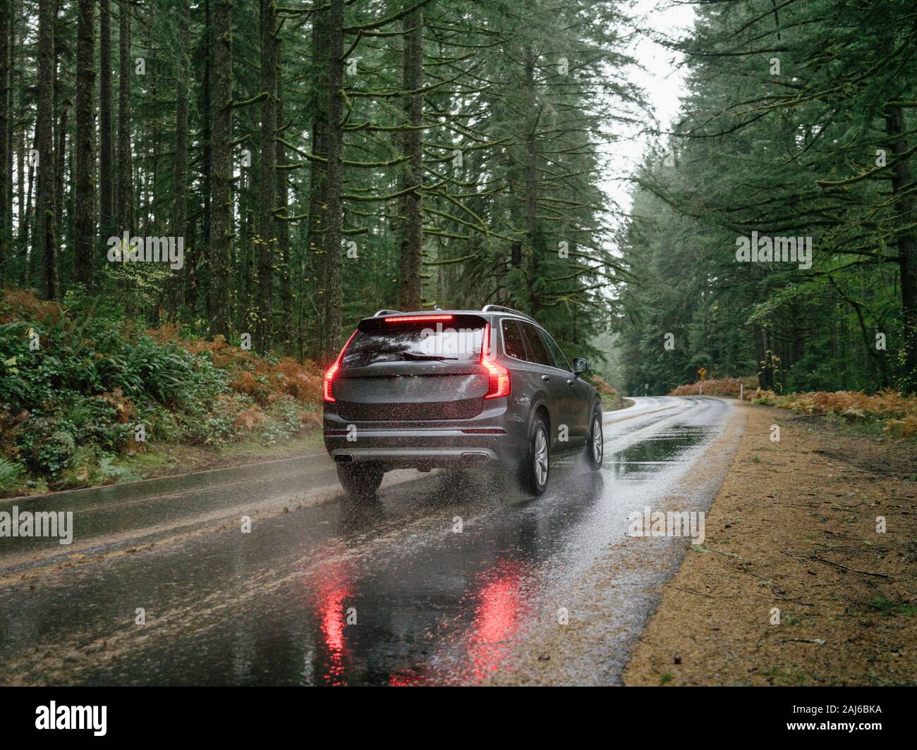 SUV automobile driving through foggy and rainy forest road Stock Photo ...