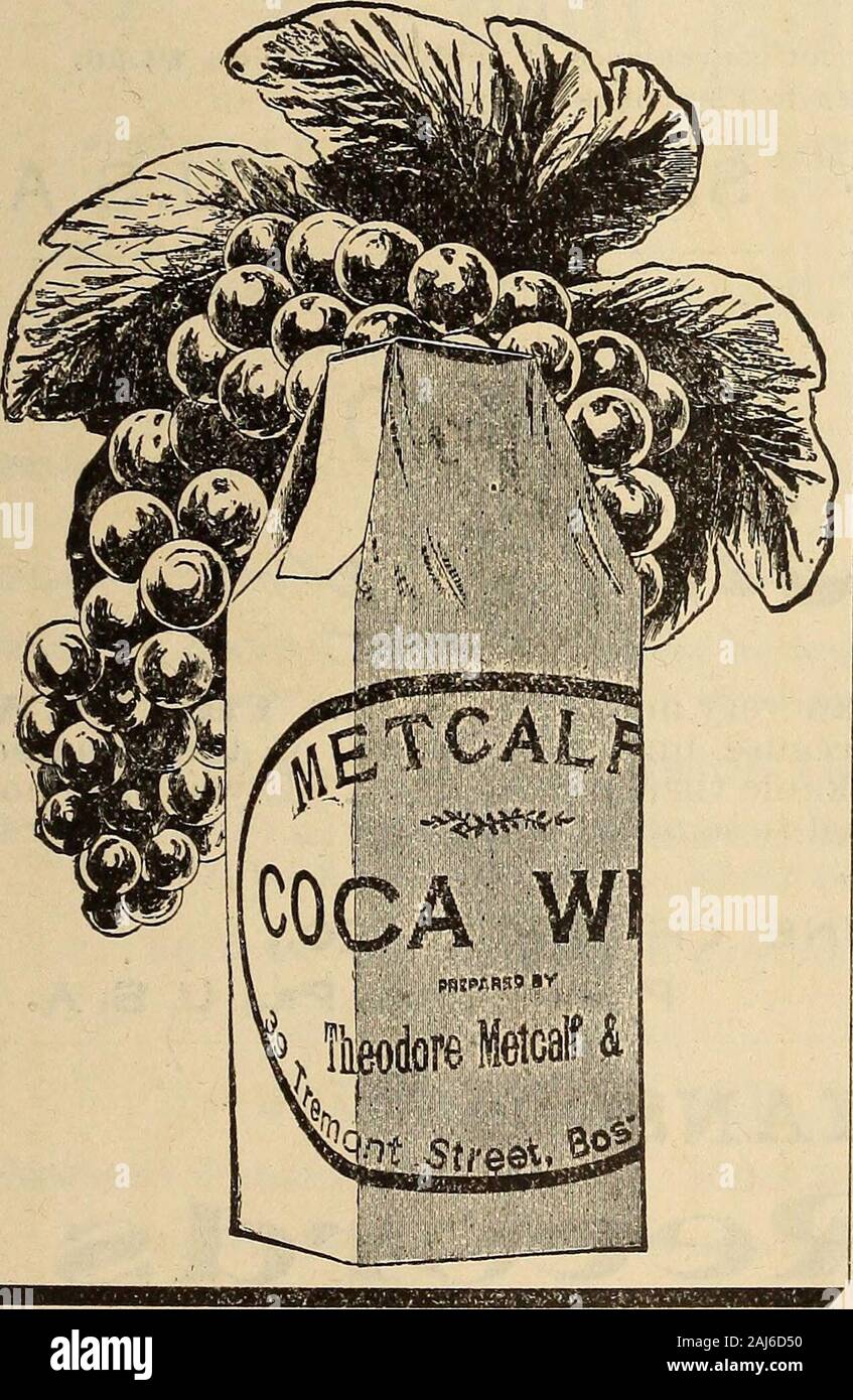 The Medical and surgical reporter . tb^ freshest Coca Lezives 2in&lt;a tbe Purest Wine obtziiozible.. R^ INGe;R recommends Coca Leaves, as ofgreat value in Febrile Disorders, by re-straining tissue metamorphosis, and for thesame reason in Phthisis. For their decidedanodyne and anti-spasmodic qualities, they havebeen successfully employed in Typhus, Scorbutus,Gastralgia, Anaemia, Knteralgia, and to assistdigestion. COCA WINE is probably the most valuableTonic in the Materia Medica when properly pre-pared. With stimulating and anodyne proper-ties combined, Metcalf s Coca Wine acts with-out delib Stock Photo