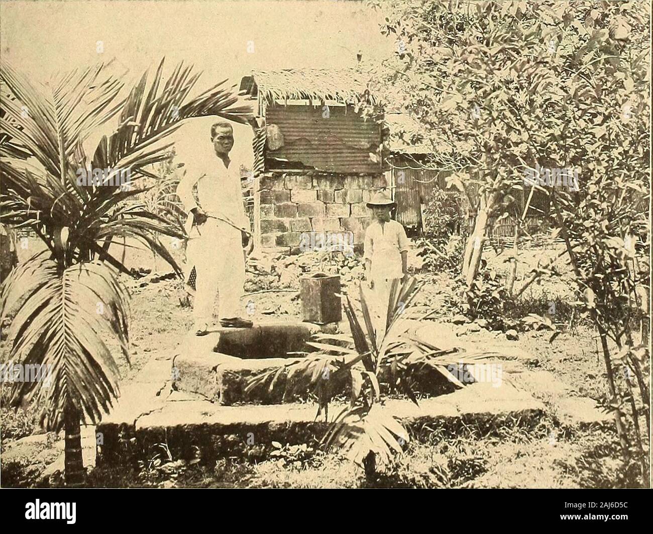 The Philippine journal of science . Fig. 1. Open well near municipal building, Taytay, Rizal Province.. Fig. 2. Outhouse in proximity to well, Taytay, Rizal Province.PLATE 1. Cox ET AL.: Water Supplies of the Philippines.] [Phil. Journ. Sci., IX, A, No. 4. Stock Photo