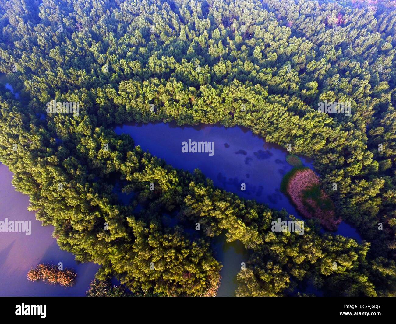 Guangzhou, China. 02nd Jan, 2020. The bird view of Nansha wetland park in Guangzhou, Guangdong, China on 02th January, 2020.(Photo by TPG/cnsphotos) Credit: TopPhoto/Alamy Live News Stock Photo