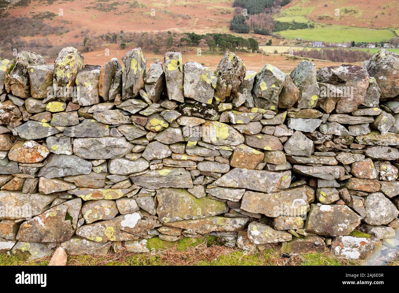 Drystone wall at Nant Ffrancon, Snowdonia, North Wales Stock Photo