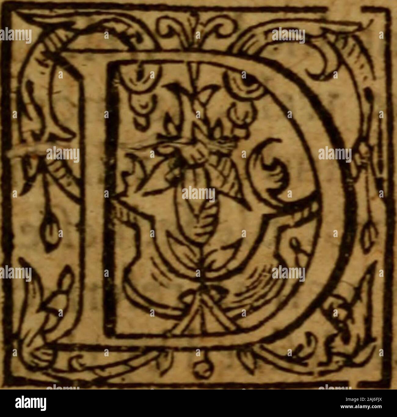 The marrow of sacred divinity : drawne out of the Holy Scriptures and the interpreters thereof, and brought into method . THE jFIRS T BOOK DIVINITY, The firft Chapter. of the Definition^ or Nature of Divinity. Ivinity h the doSrine of living.to Gi)d,lohn 6.6%. The words of eternal! life,/^f?/520. The words of this life, Rem. 6.11.Reckonj&ur[elves to be alive unto God. 3. It is called a dodii ine, not as if thenamcoflnteHigcncc, Science, SapienceArt, or Prudence were not hereto belong-ing; for all thefc arc in every accurate Difcipline, and efpe-cially in Divinity: but becaufc this difcipline i Stock Photo