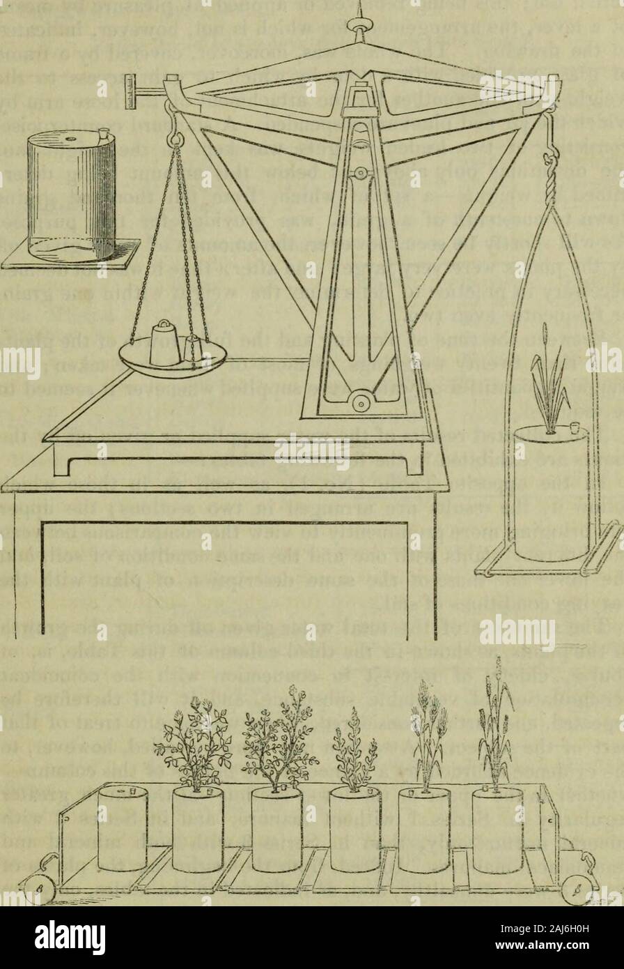 The journal of the Horticultural Society of London . of Series 1,however, though provided with soil and closed with a lid as therest, was left without a plant, as indicated in the tabulated planabove, in order to determine the amount of evaporation from thecentre orifice. Each jar was placed upon a varnished board, forthe convenience of attachment to the arm of the balance, and asthus fitted and mounted weighed little short of half a hundred-weight. The jars on their stands constituting a Series, wereplaced upon a truck, by means of which they were sometimesdrawn into a green-house for the nig Stock Photo