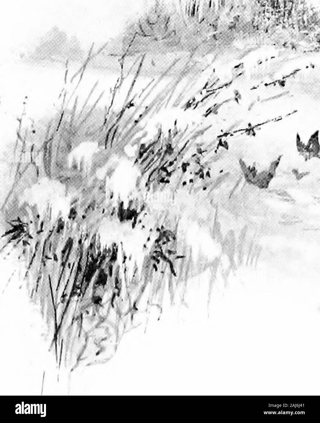 Riley farm-rhymes . •? ^ry 1f 175 Stock Photo - Alamy