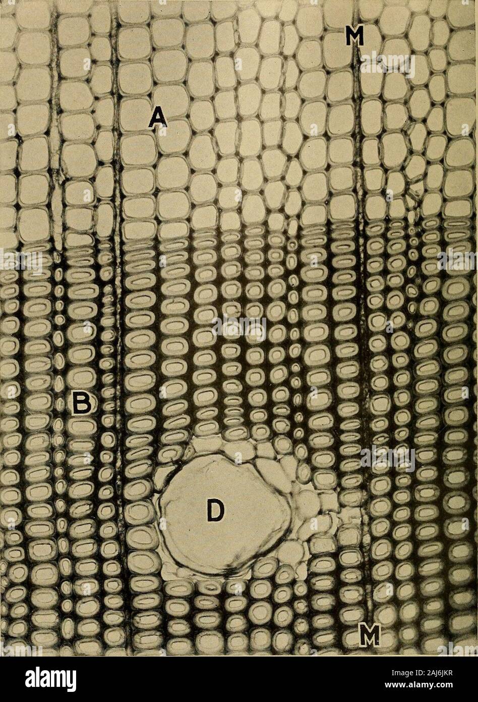 The kiln drying of lumber; a practical and theoretical treatise . Fig ...
