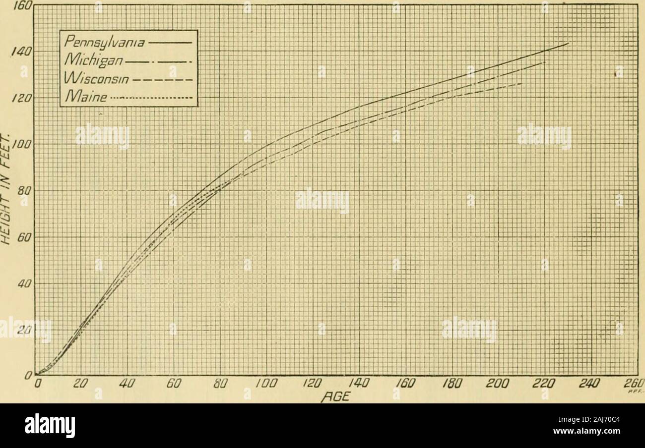 The White Pine (Pinus strobus Linnaeus) . 60 nu 180 ino 200210220 2:10 Inchtt.0.92.»4.05.97.0 0. :i 10.812.013.414.710.017. :i18.019.720.721.822.723.524. :i25.125.82«. .?•.27.3 Totalof Inje. VolliniifurHlciii Imrk). Cubie/t. (M 0.4 1.8 4.8 7.8 11.1 18.7 23.3 30.7 39.0 47.0 :.7. 9 05.2 78.9 88. U 101.8 11.1.3 129.2 142.9 152. 7 105.5 179.3 195.0 (10) COUOMINAM TIISK8. (.viTngo iu riiiiiM&gt;Ivaiiia.)(78 trocH.) llolaf ivofHir criit of total ? vuliMiio. llrart.wood. Irrreiil. Sapwonil. /&gt;/? rint. Hark.Jer cent. D.MJnlr. a 4 5 8 7 8 0 10 11 l&gt; 13 14 15 ? .. 16 17 18 19 20 21 io 22 C5 23 cr Stock Photo