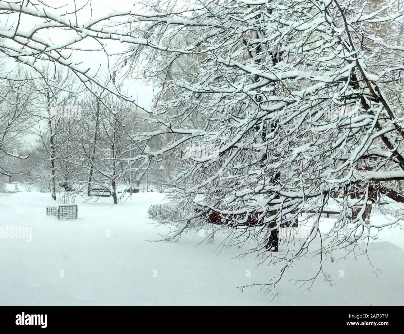 city park after snowfall at day Stock Photo - Alamy