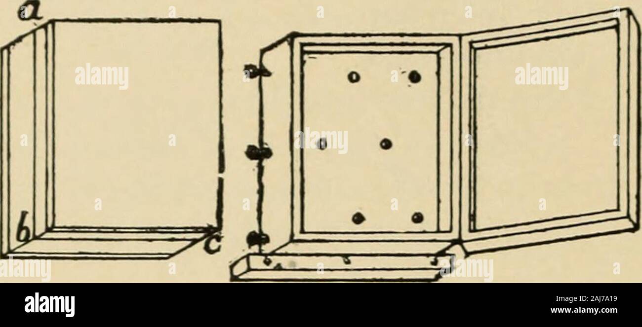 Woodworking for beginners; a manual for amateurs . Fig. 139. of narrow ones, or use the simple device described below (Figs. 141 and 142), and shown in Fig. 139. (See Drmuers in Part V.) To fasten the doors you can hook one on the inside and put a button (which you can whittle out) on the outside to hold tlie loo Wood-Working for Beginners. Fk;. 140. other. If you wish to lock, hook one door inside and lock theother to it (see Locks). A padlock with staples and iron strap iseasier to put on. To make a cupboard of boards instead ofusing a box, you simply make a box yourself (see Box-f?iaki?ig i Stock Photo