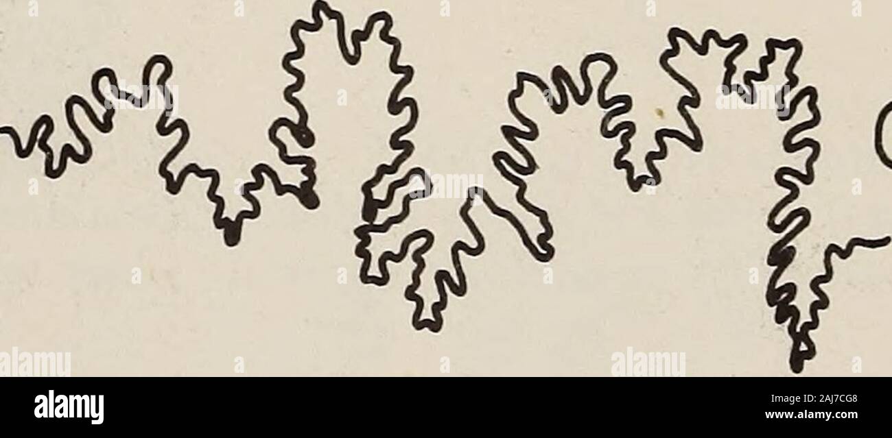 Var B Stock Photos Var B Stock Images Page 5 Alamy