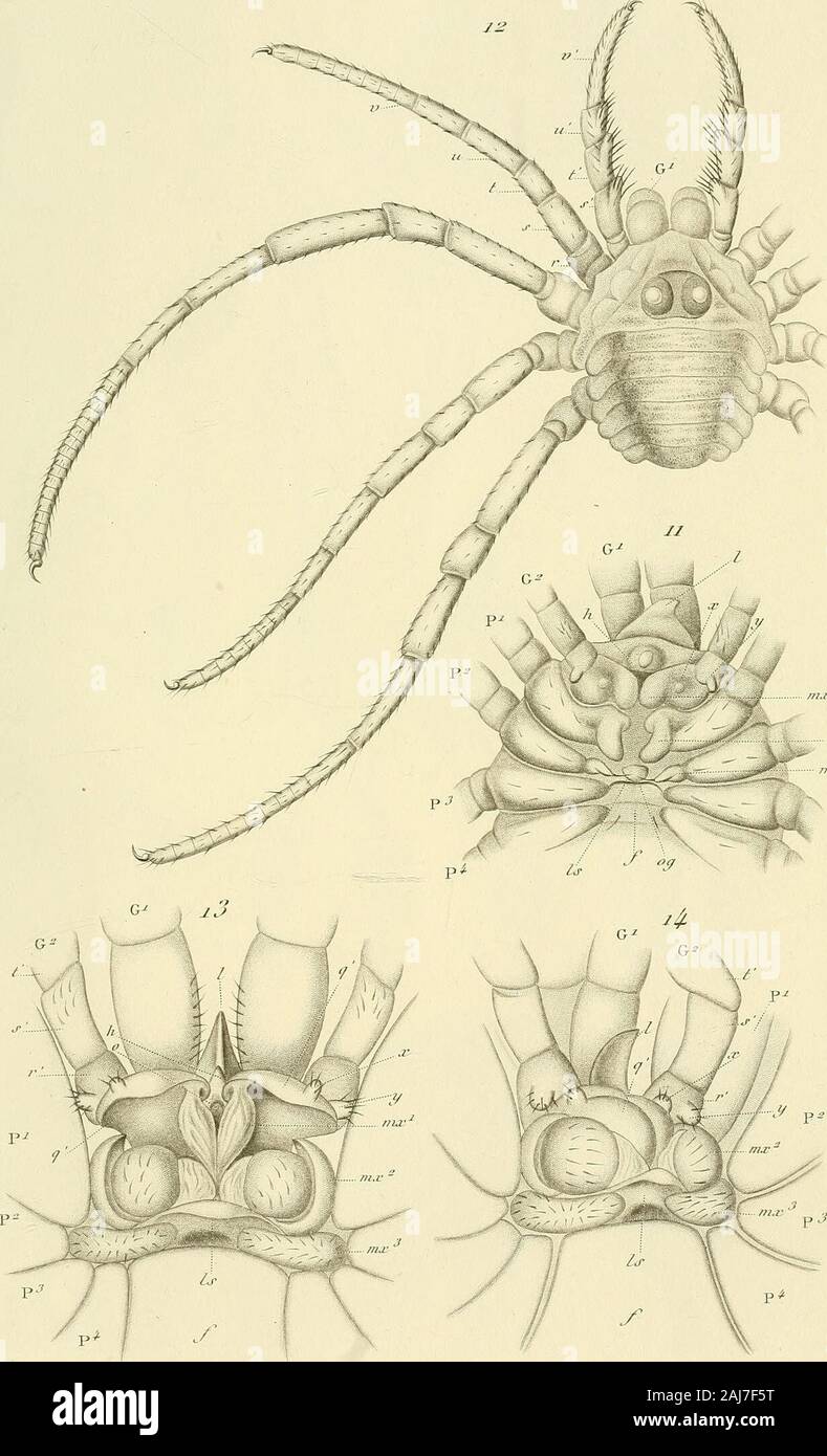 Page 17 C P I M High Resolution Stock Photography And Images Alamy