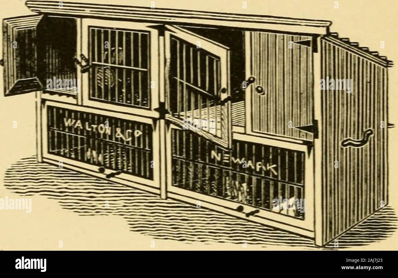 Ferrets : their management in health and disease with remarks on their legal status . Fig. 8. same principle, 3 feet long, 2 feet wide,and 1 foot 10 inches high. Each hassplined flooring and sliding tray. An-other outdoor hutch is illustrated byFig. 9. The upper tier has separatecompartments for breeding purposes, whileunderneath is a commodious run for theyoung ones or for single ferrets. All the 36 FERRETS doors are hung with strong joints andfitted with japanned buttons and knobs.The interior is fitted with the necessaryfeeding troughs, and the floors are trenchedand arranged with li inch f Stock Photo