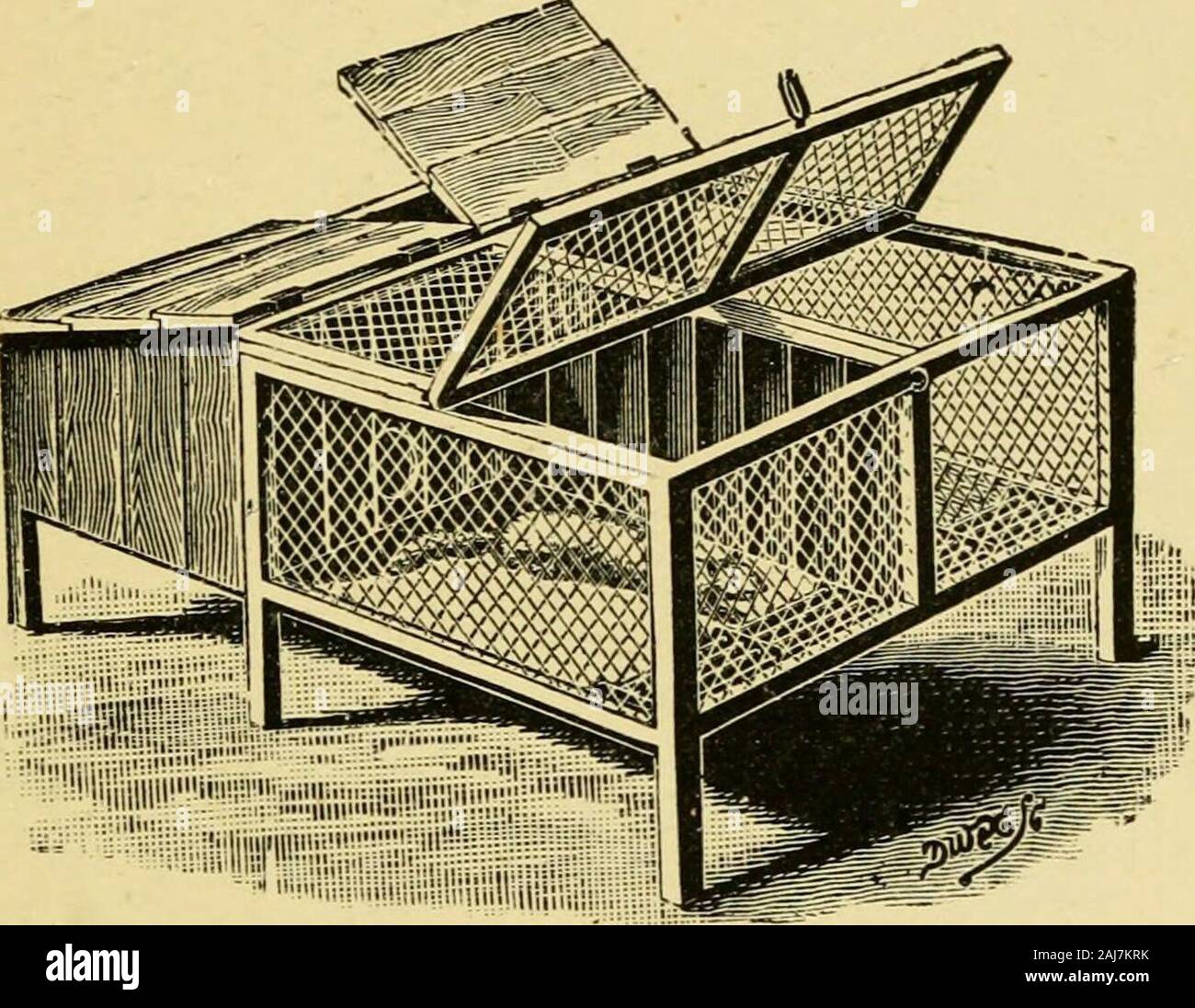 Ferret hutches 2025