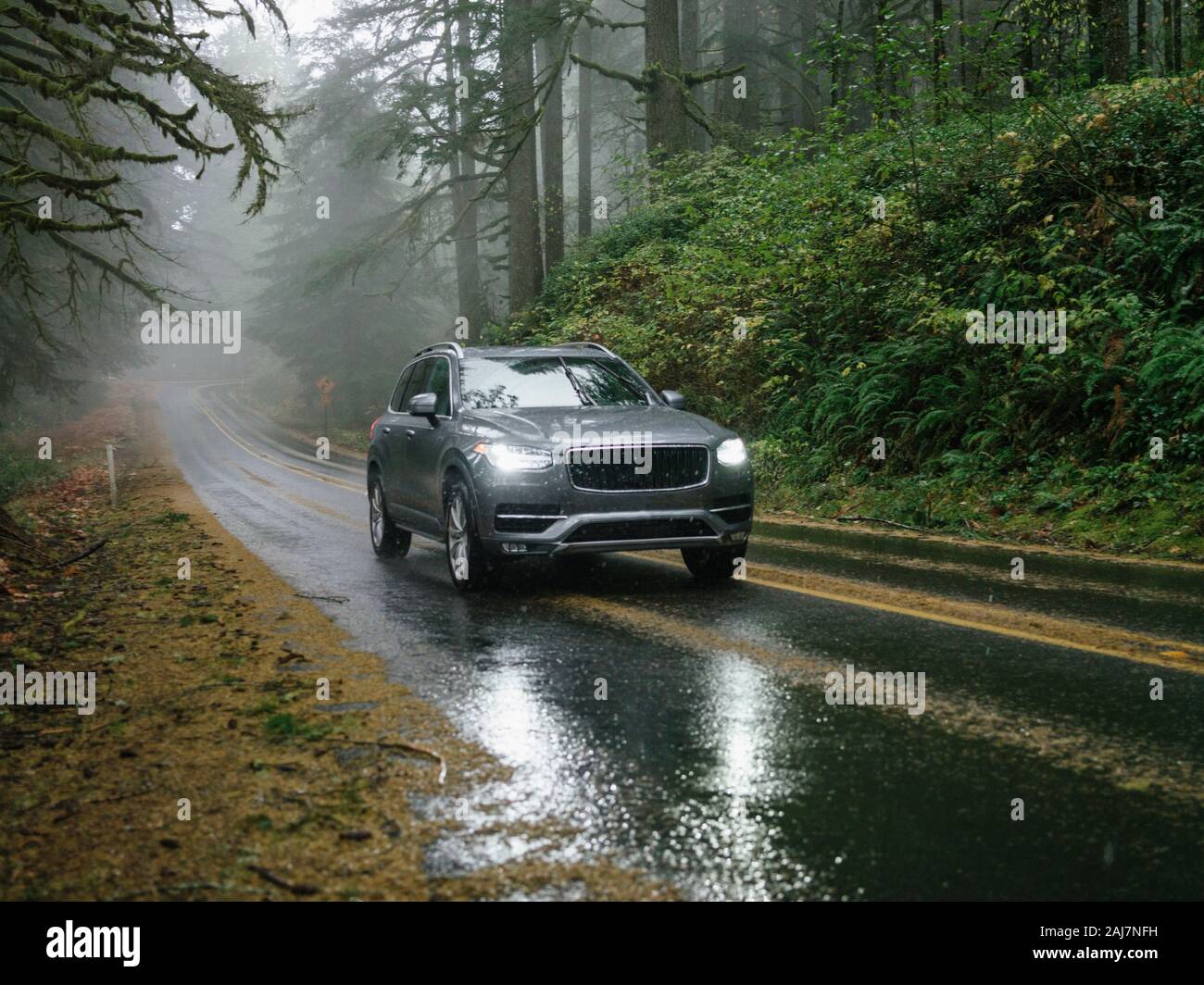 SUV automobile driving through foggy and rainy forest road Stock Photo ...