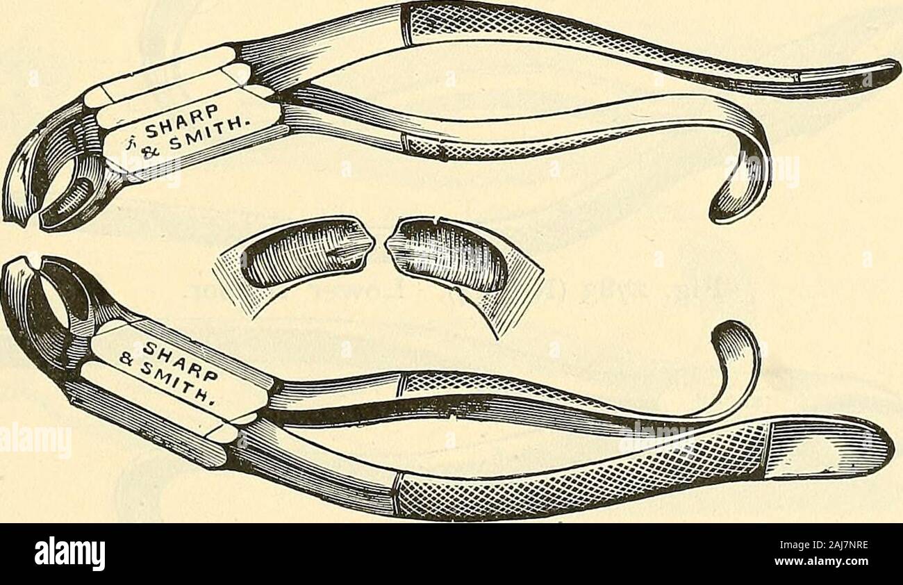 Catalogue of Sharp & Smith : importers, manufacturers, wholesale and retail dealers in surgical instruments, deformity apparatus, artificial limbs, artificial eyes, elastic stockings, trusses, crutches, supporters, galvanic and faradic batteries, etc., surgeons' appliances of every description . Fig. 2777 (No. 24). Universal Molar.. Fig. 2778 (No. 28). Right and Left Lower Molars. 520 SHARP & SMITH. CHICAGO. TOOTH FORCEPS. FIG. T, *2779 No. 47 Hutchinsons Tooth Forceps $ i 50 ^2780 No. 23 Lower Molar Cow-Horn, either side i 50 *278i No. 16 150 *2782 No. 45 Upper 150 *2783 No. 14 Lower Incisor Stock Photo