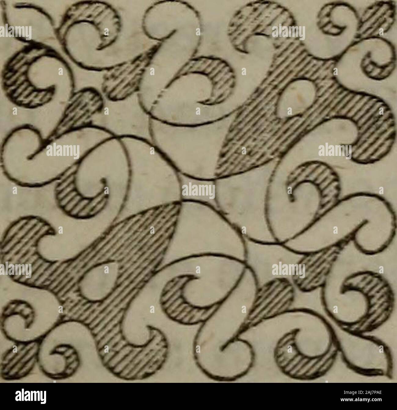 Torrey S Narrative Or The Life And Adventures Of William Torrey