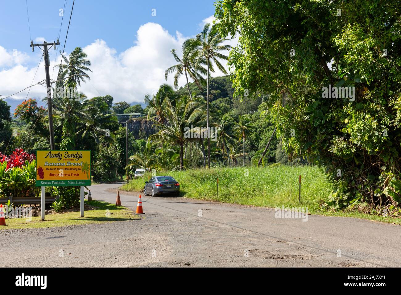 Aunty Sandy's famous banana bread Stock Photo - Alamy