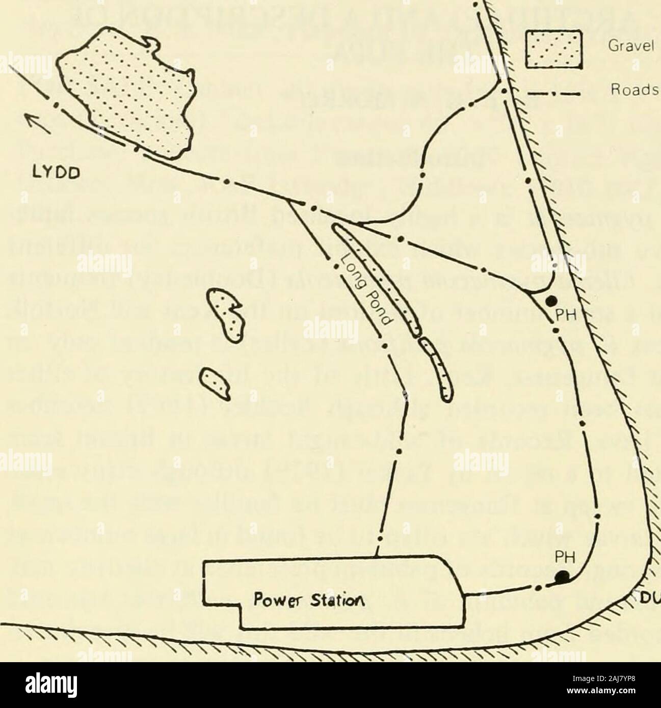 The Entomologist's record and journal of variation . e has,to date, been restricted to the area immediately north and eastof the Long Pond (fig. 1) and it is this area which is described. Sallow scrub dominates much of the shingle, providing shelterbut very little associated under-cover. Open areas between patchesof sallow scrub are dominated by bramble {Rubus fruticosus agg.)with wood sage {Teucrium scorodonia) and broom {Sarothamnusscoparius) forming distinct patches. Elsewhere, grasses and low-growing herbaceous plants form a loose cover which, in placesconsolidates to form continuous cover Stock Photo